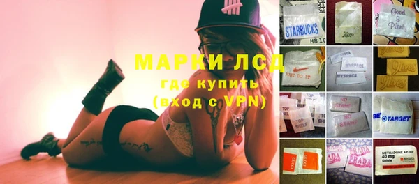 PSILOCYBIN Бородино