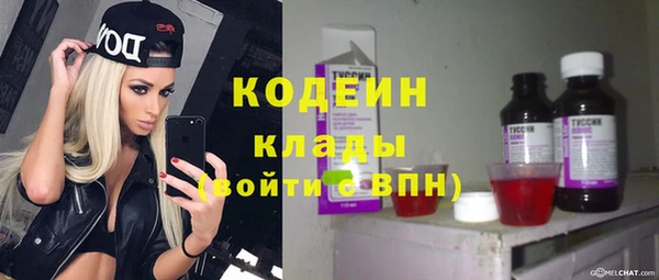PSILOCYBIN Бородино