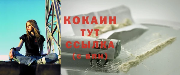 стаф Богданович