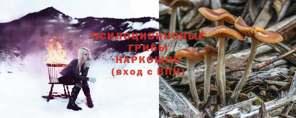 мескалин Тында