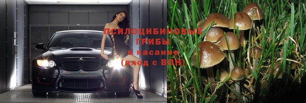 не бодяженный Бронницы