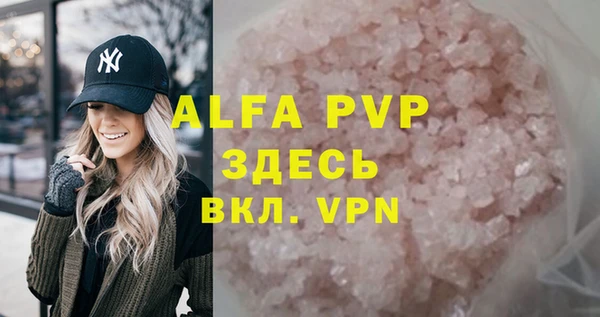 стаф Богданович